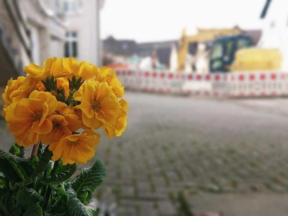 Ferien Im Heckenland Apartment Kenzingen Exterior foto